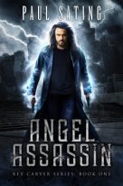 Angel Assassin by Paul Sating (ePUB) Free Download