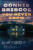 You Never Know by Connie Briscoe (ePUB) Free Download