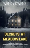 Secrets At Meadow Lake by Wendy Owens (ePUB) Free Download