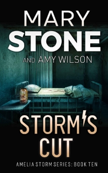 Storm’s Cut by Mary Stone, Amy Wilson (ePUB) Free Download