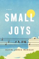 Small Joys by Elvin James Mensah (ePUB) Free Download