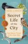Secret Life of the City by Hanna Hagen Bjørgaas (ePUB) Free Download