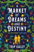 A Market of Dreams and Destiny by Trip Galey (ePUB) Free Download
