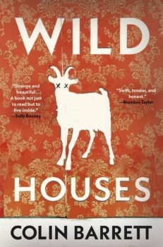 Wild Houses by Colin Barrett (ePUB) Free Download