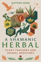 A Shamanic Herbal by Matthew Wood (ePUB) Free Download